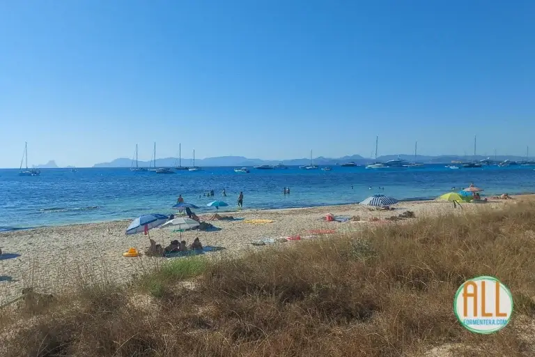 Vista de las dunas de la playa de Cavall d'en Borras, con Ibiza y Es Vedrà al fondo