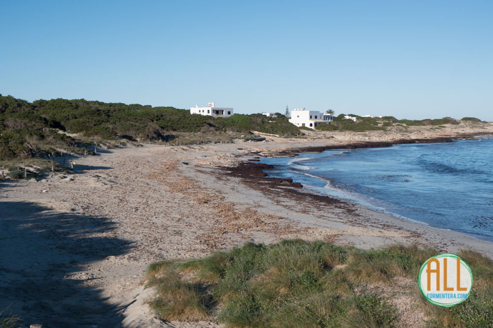 Ses Canyes beach, Formentera