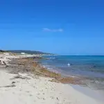 Playa de Es Racó Fondo (Migjorn)