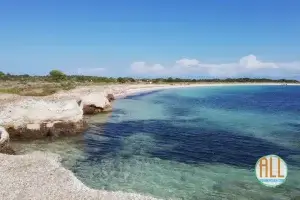 Playa de s'Alga, Espalmador
