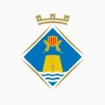 Bandera del Consell de Formentera