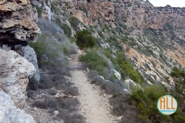 Camino de bajada a Cala Codolar, Formentera