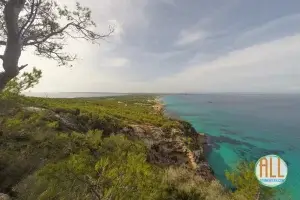 Camino Romano de es caló a la Mola, Formentera