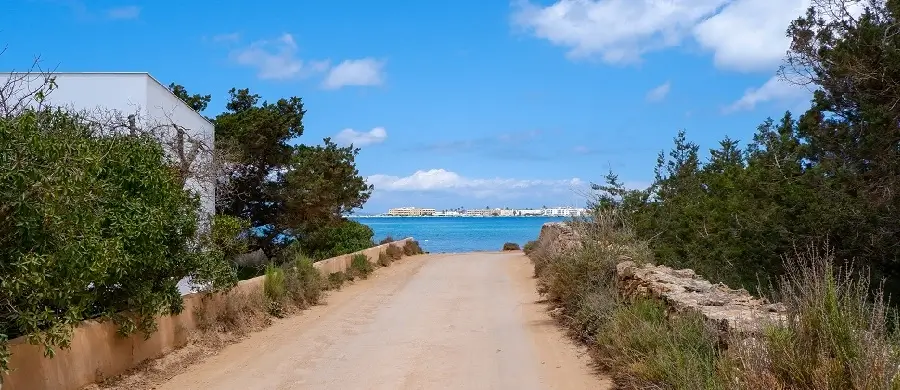 Imagen de un camino en la isla de Formentera