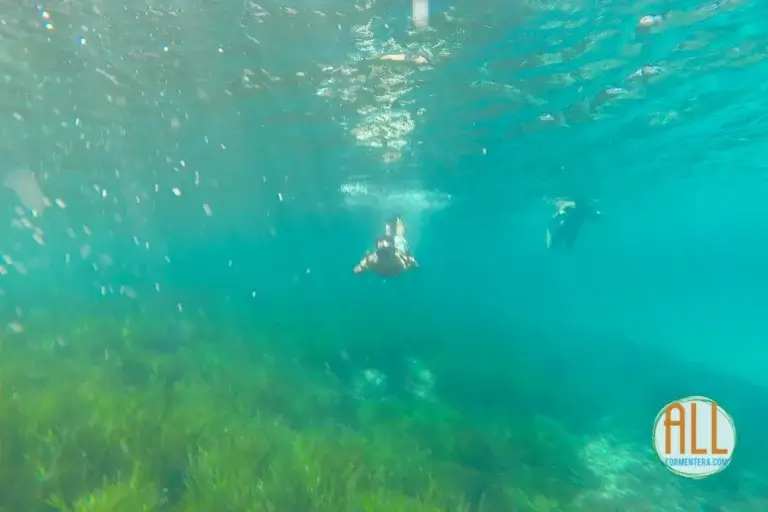 Les amis font de la plongée en apnée à Formentera
