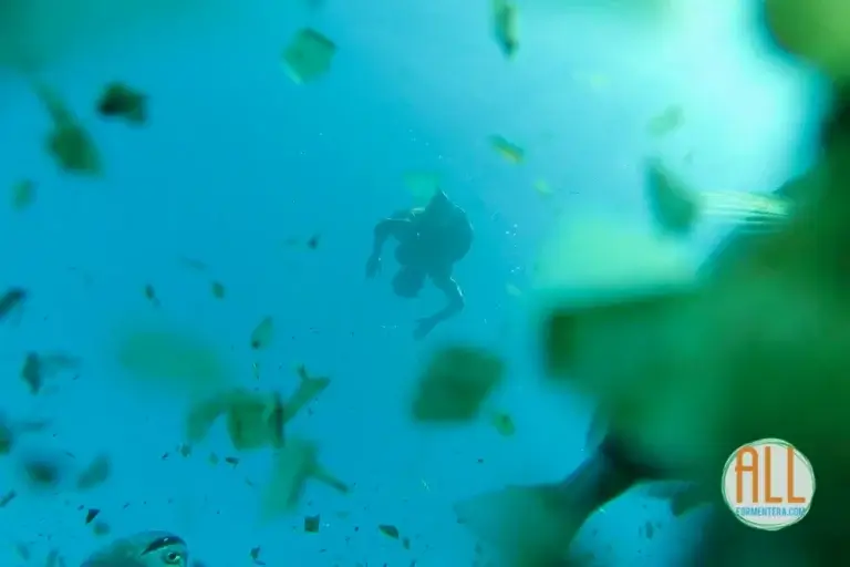 Rapaz a fazer snorkeling à superfície da água, enquanto dois peixes passam em frente da câmara.