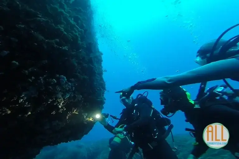 Submarinistas examinando animales en una pared submarina de Formentera